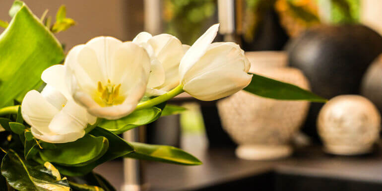 fiori per decorare la casa