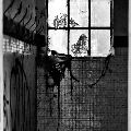 thumb  MG 1216-Modifica