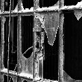 thumb  MG 1223-Modifica